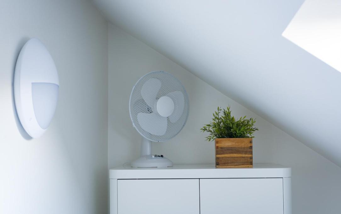 Knockanboy Loft Ballymoney Zewnętrze zdjęcie
